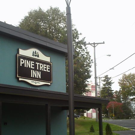 Pine Tree Inn Bangor Zewnętrze zdjęcie